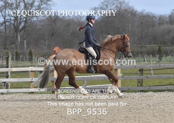 BPP_9536 - RING 2 - M&M