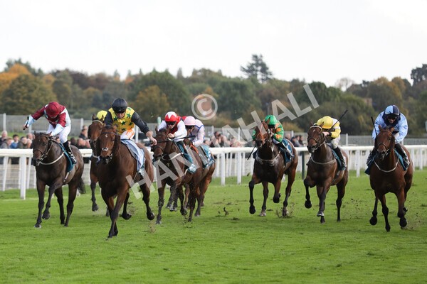 yr07102022r5-18 - Race 5 4.25pm Copper Knight Winningmost Horse Stakes