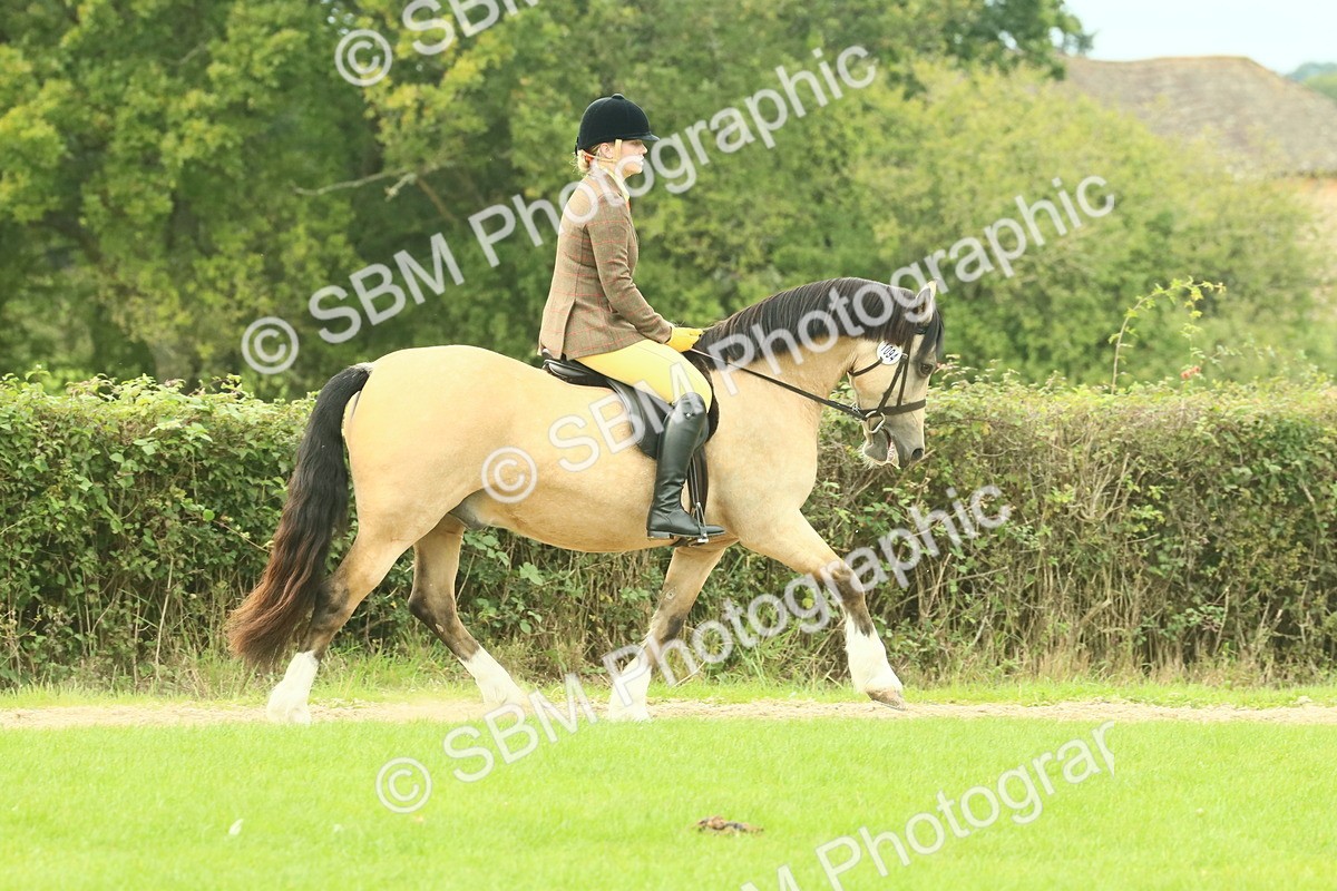 SBM_71848 - S60 - Mountain & Moorland Ridden Large Breeds
