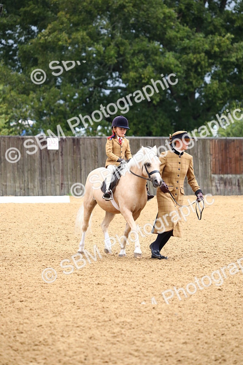 SBM_34561 - D26 - Starters Lead Rein