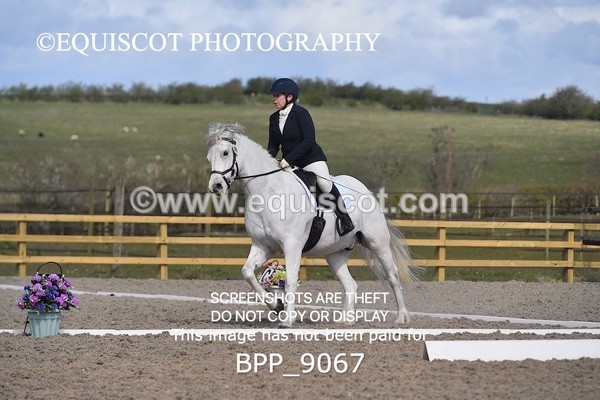 BPP_9067 - ELEM 1/2