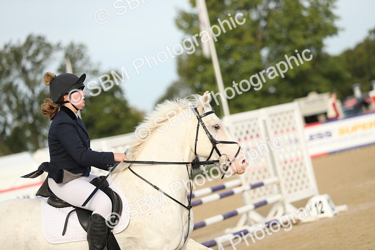 SBM_55970 - J24 - Junior Horse 75cm Championship