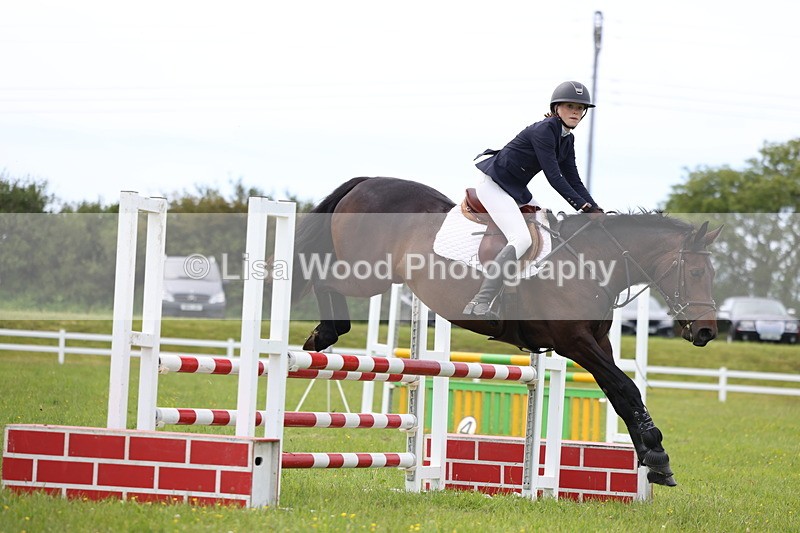 3E7A1801 - Class 13: Senior British Novice/90cm open