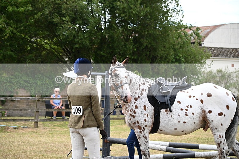 WJ6_3837 - Class 9 Tack & Turnout