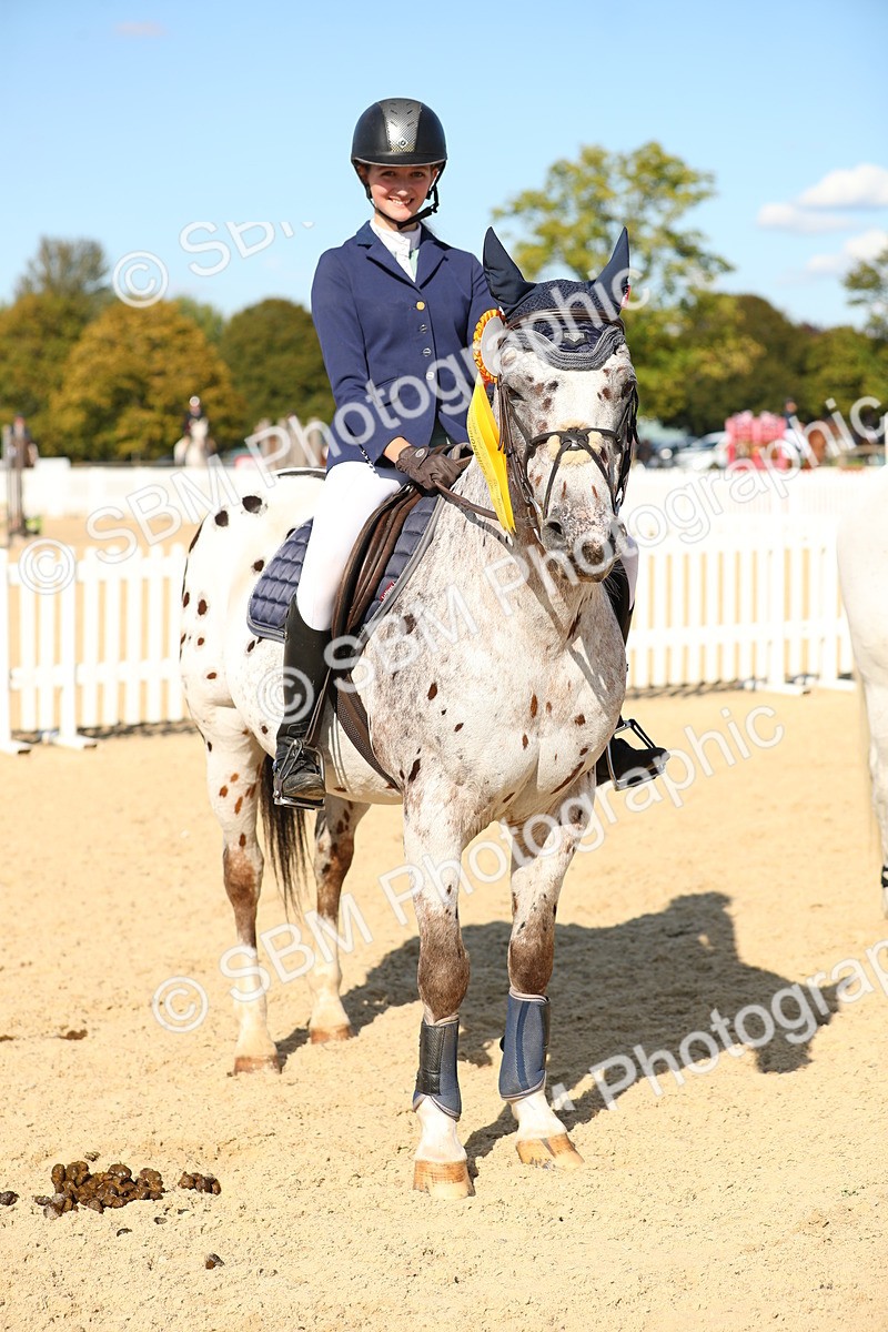 SBM_24362 - J45 - Accumulator 70 80cm