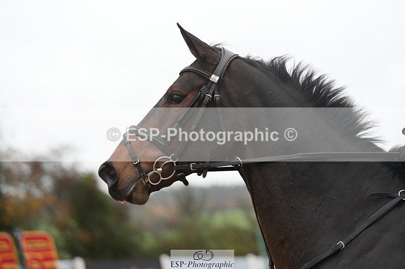 251107-125845-01032 - Cls 6 Foxhunter and 1.20m Open