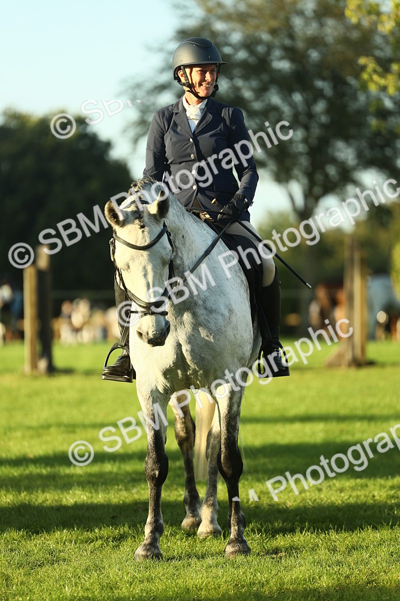SBM_55554 - S14 - Riding Club Horse