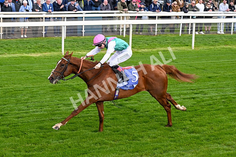 140526-Race 5-Item-0284 - Race 5 4.05pm Al Basti Equiworld Dubai Dante Stakes