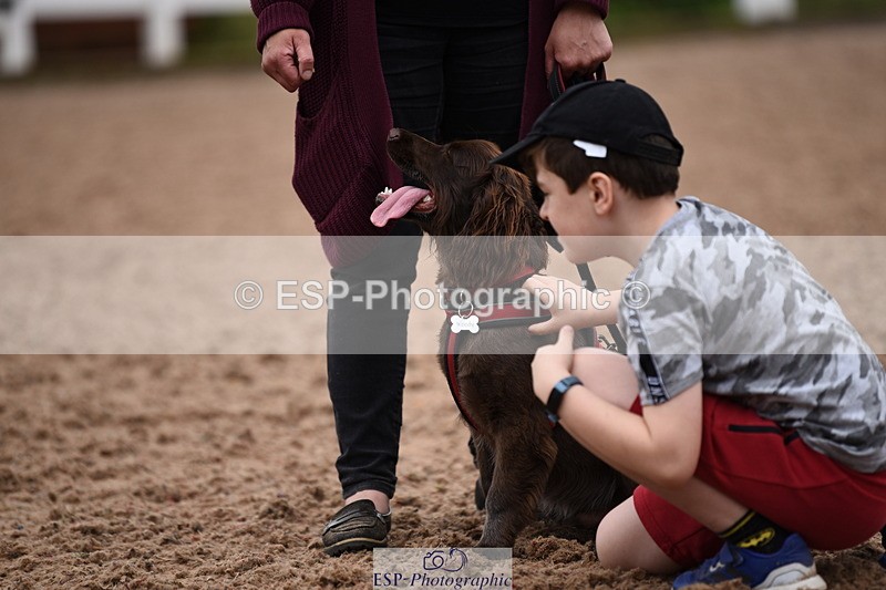 240518A-122432-01157 - Cls 4 Best Crossbred