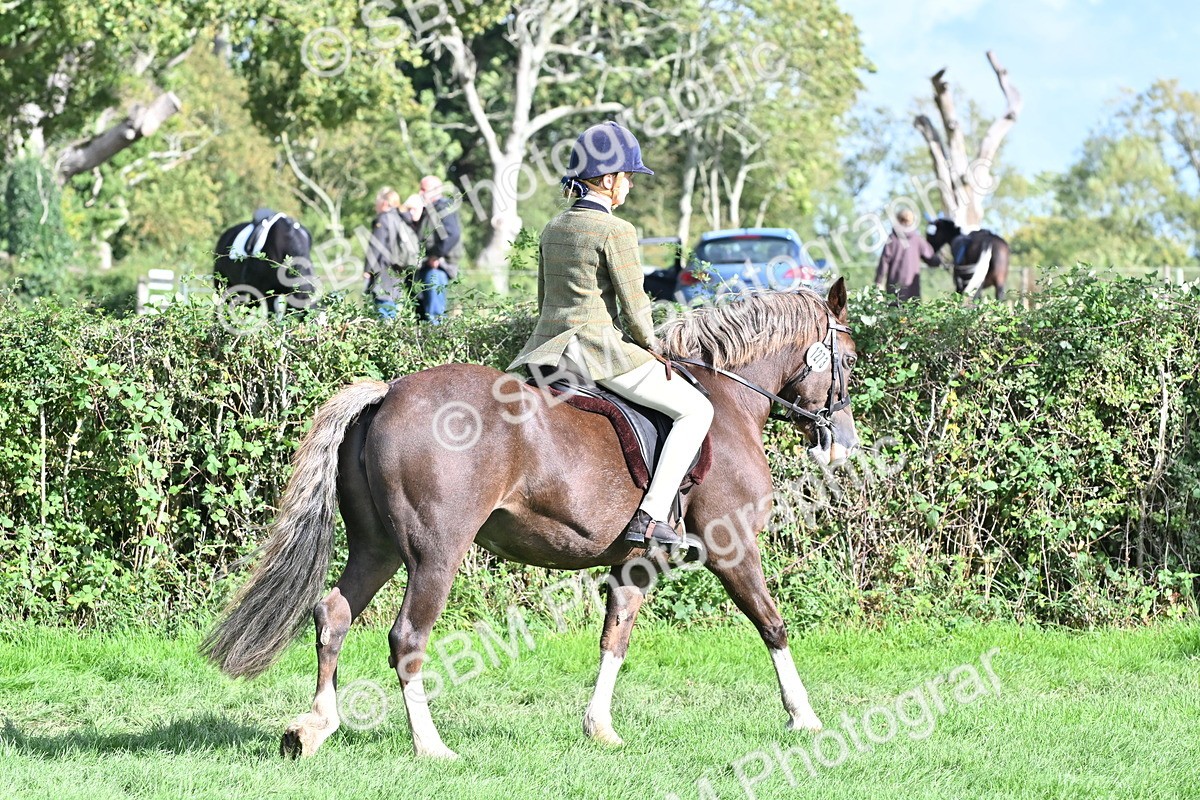 SBM_50232 - S21 - Novice & Newcomers First Ridden