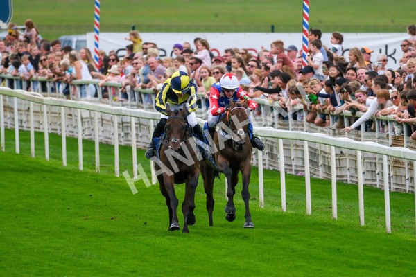 080925-Pony Racing-Shes A Corker-7075 - Pony Racing 1.45pm Dragon (TV and Film) Studios Pony Race 148cm & Under