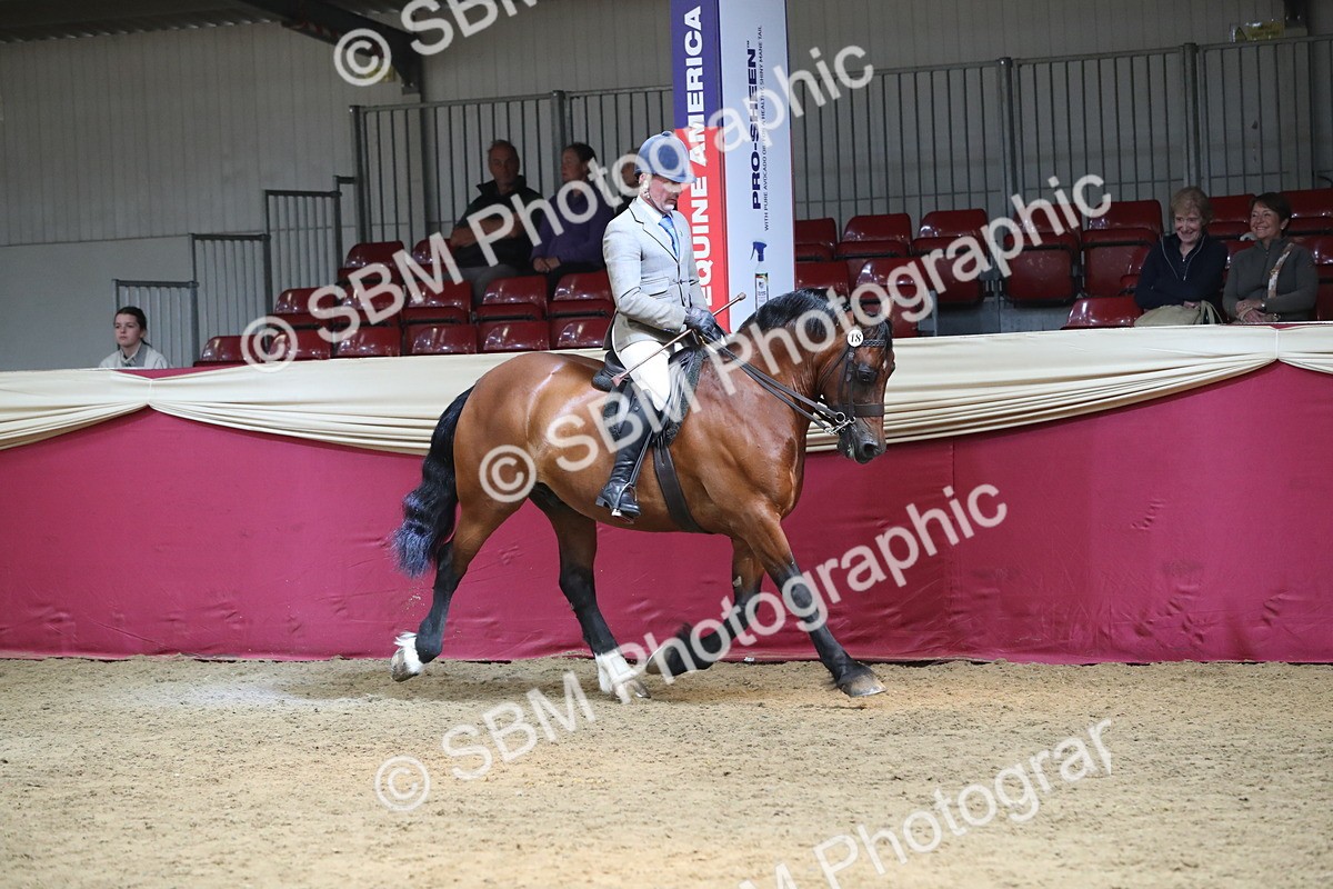 SBM_16265 - Class 502 M&M Ridden Supreme Final