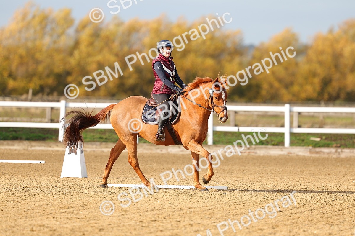 SBM_001177 - Class 13-4-9 - DR P3 CT P3 70cm CT PYO