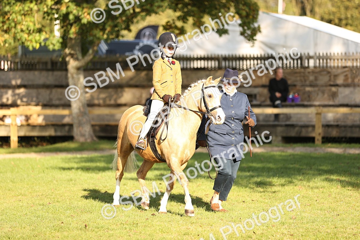 SBM_29384 - S7 - Novice & Newcomers Ridden Pony