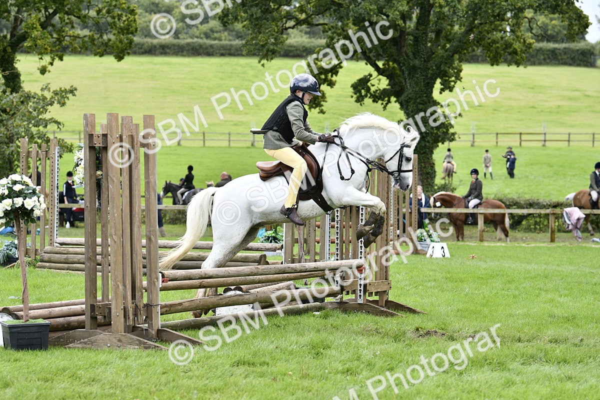 SBM_41284 - S32 - Mountain & Moorland Working Hunter Pony