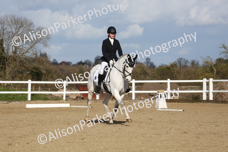 20260314-5234 - DR6 - Novice 2