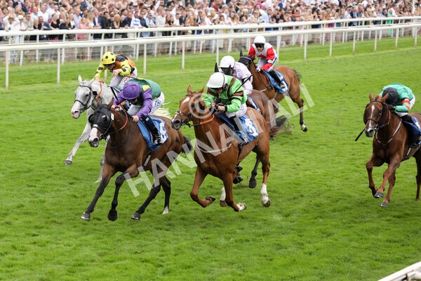 yr24072021r5-51 - Race 5 4.25pm Sky Bet Best Odds Guaranteed Stakes