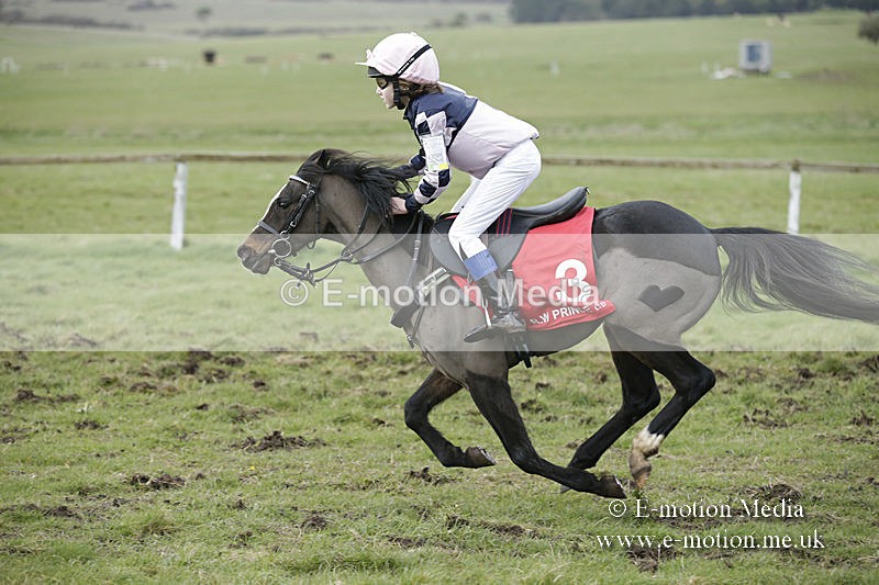 PtP 150320 0805 - New Forest Point-to-Point Larkhill 15/03/20