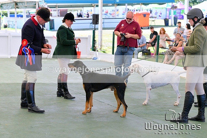 WJ5_1240 - Berks & Bucks at the Great Yorkshire Show 2025