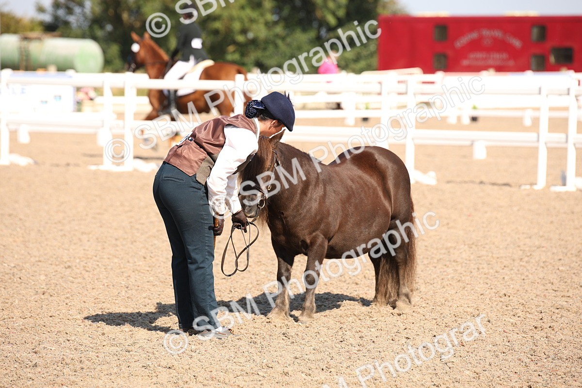 SBM_02743 - Class 16 IH M&M Wildcard