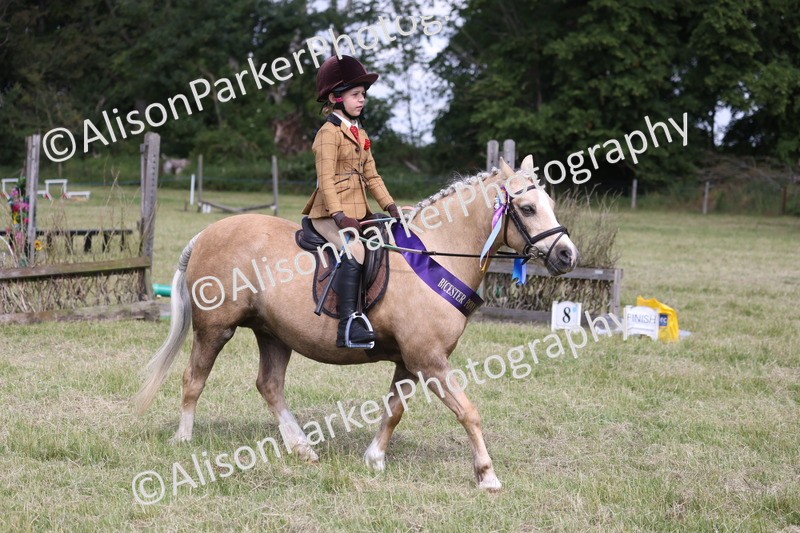 20260614-0850 - Class 20 - Beginners Working Hunter Pony