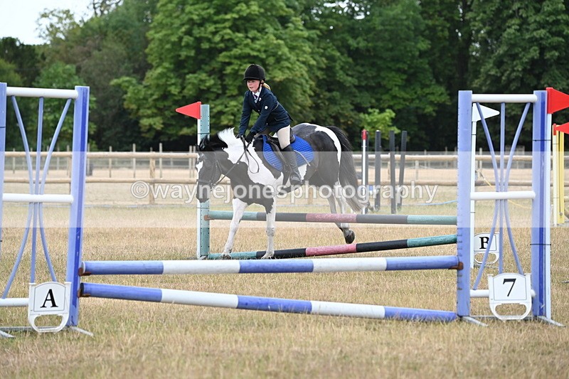 WJ6_9943 - Class 13 Novice Jumping 60cm