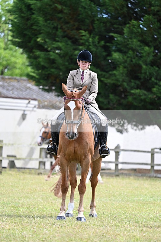 WJ7_9794 - Class 8 Ridden Veterans
