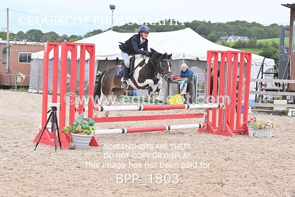 BPP_1803 - CLASS 13 Stepping Stones 128/ 138cms Handicap