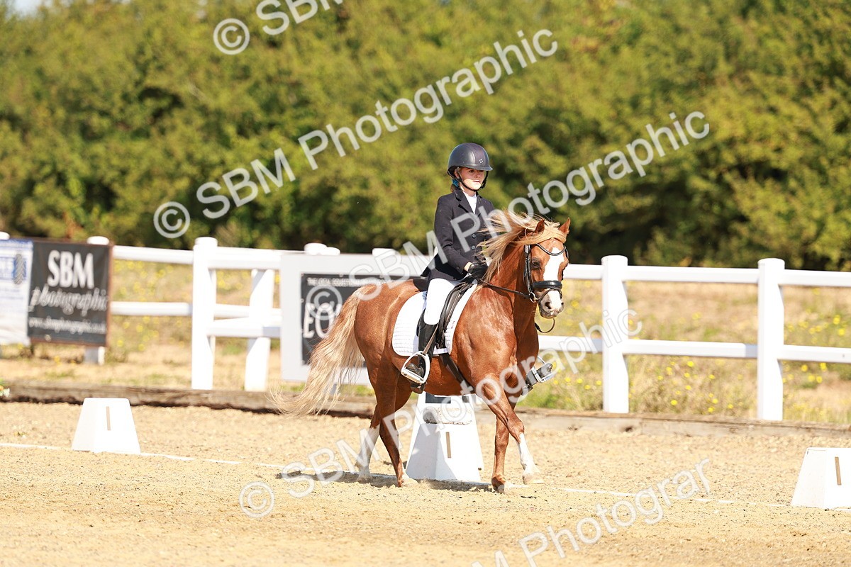SBM_017574
