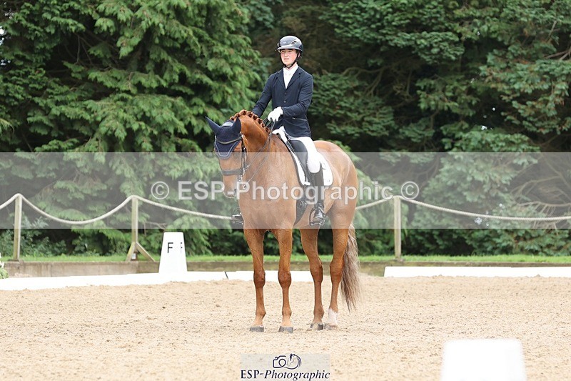 240810-155247-04111 - 208-Tom.Carter-Rubin.Regal