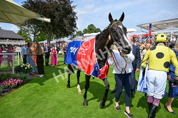 260725-Race 3-Royal Champion-0562 - Race 3 2.40pm Sky Bet York Stakes