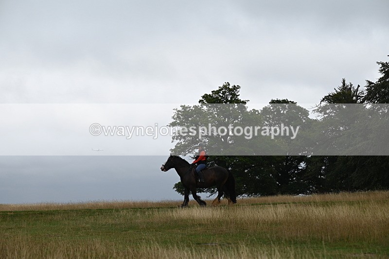 DSC_0186 - Time at Statue 09:51 to 10:54