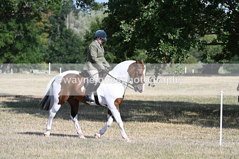 WJ7_2780 - Class 8 Ridden Tack & Turnout