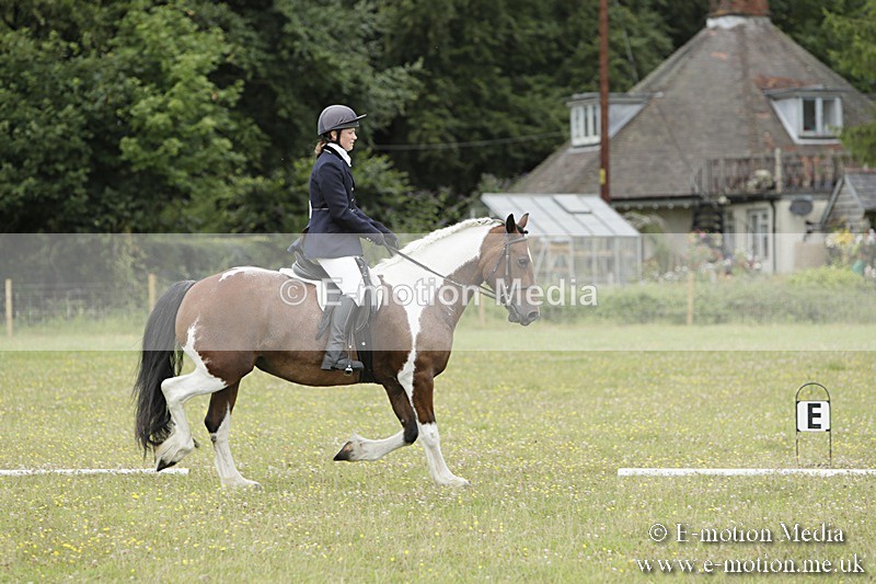 BVR160717-1373 - Class 3 Dressage 16/07/17