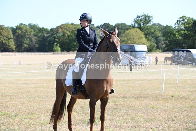 WJ6_7291 - Class 33 Rescue Pony
