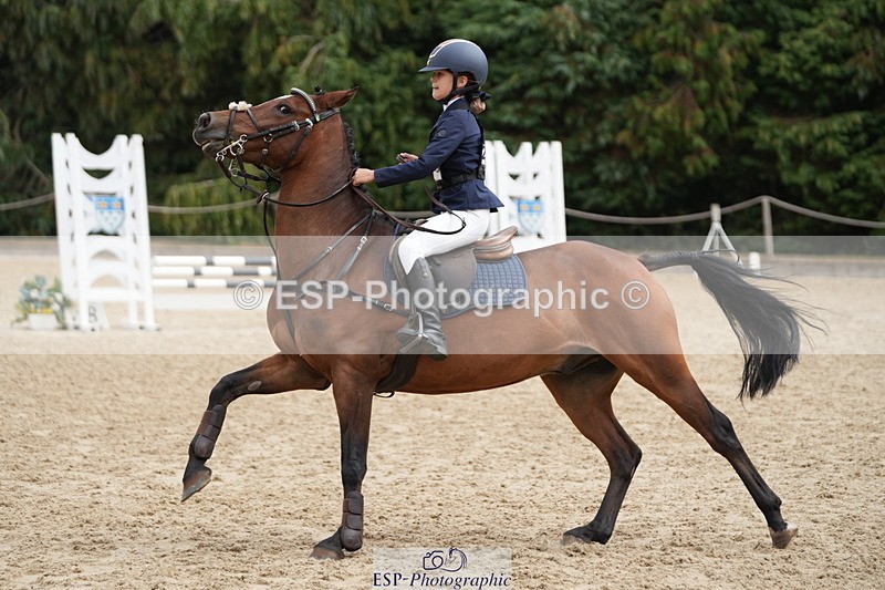 250824A-122721-35983 - 2035-Scarlet.Rosedale-Leith.Fandango