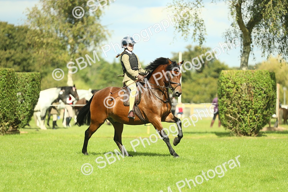 SBM_42981 - S30 - M&M Working hunter Pony