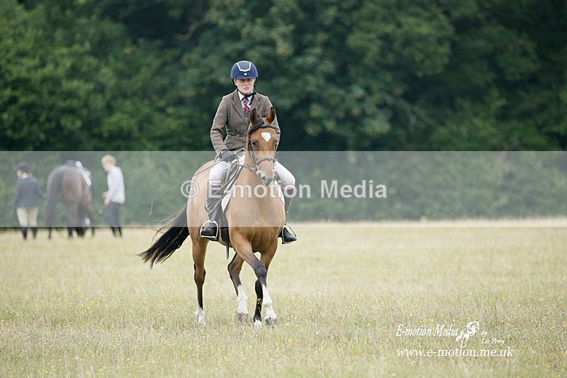 BVRC 030721 455 - Bourne Valley Riding Club Dressage 03/07/21