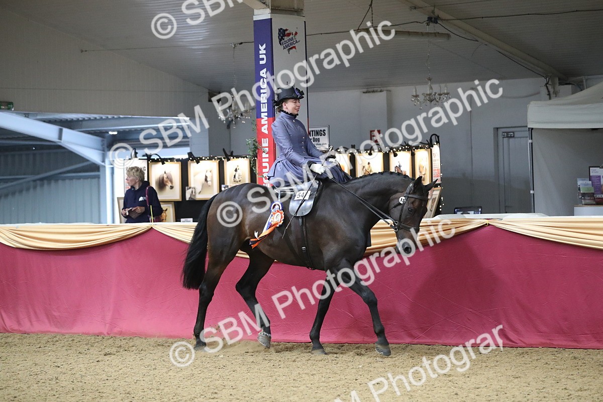 SBM_11640 - Class 105 Ridden Costume- Side Saddle