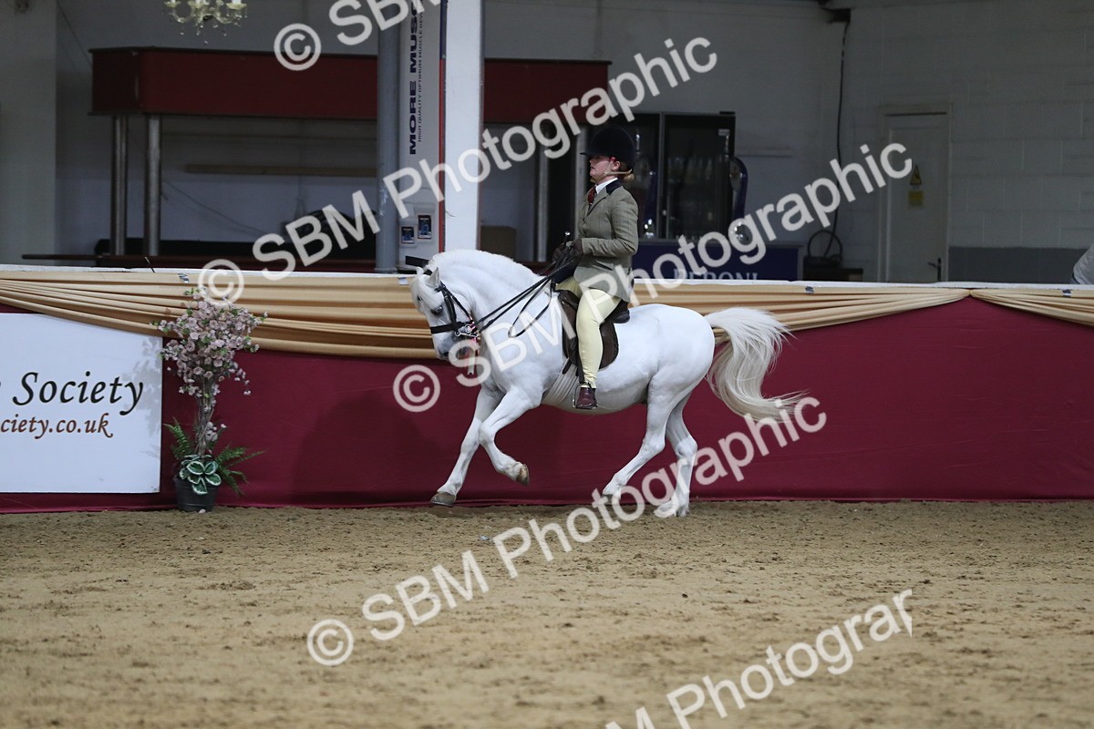 SBM_08409 - Class 11R Regional Ridden Veteran