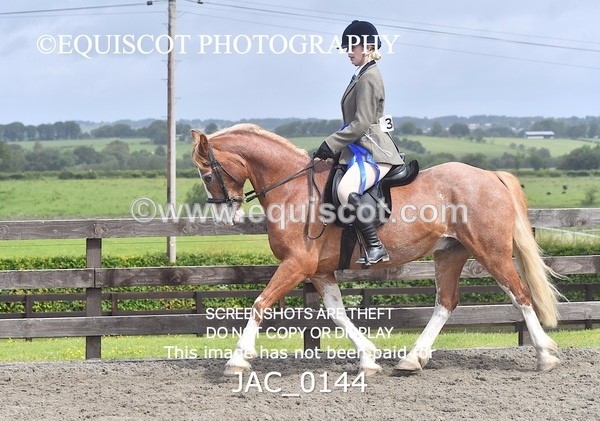 JAC_0144 - CHAMPIONSHIPS AND SUPREME