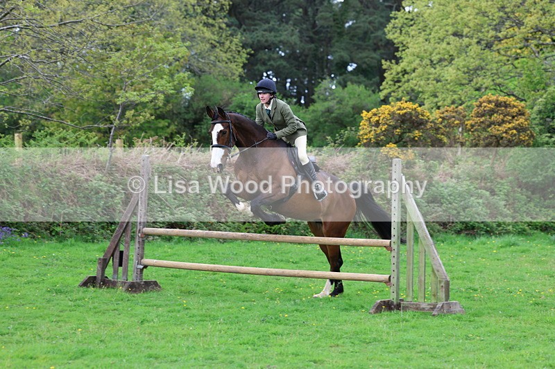 3E7A2484 - Classes 30 and 31: 80cm Working Hunter