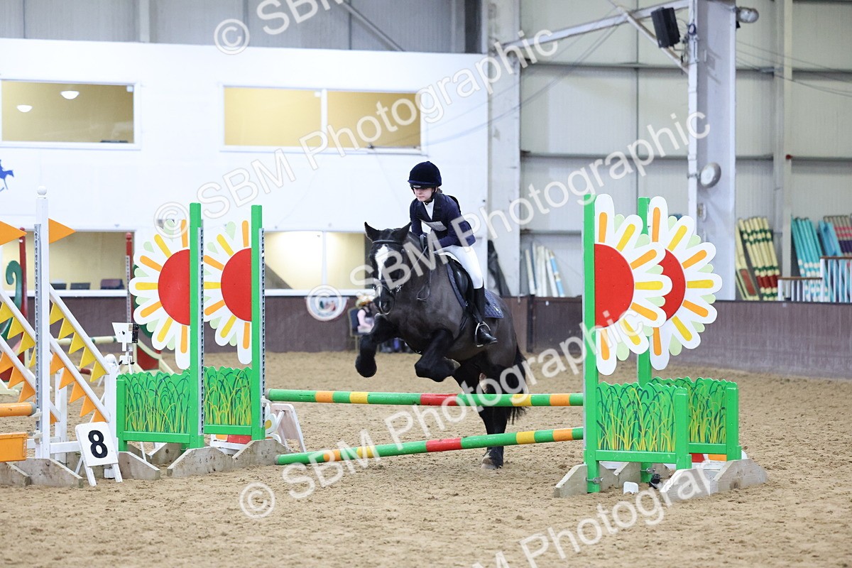 SBM_001152 - Class 3 - Christmas Tree Stakes - 60cm