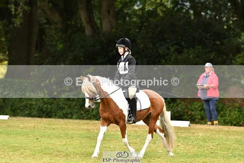 250820A-114731-05293 - 11am to 12