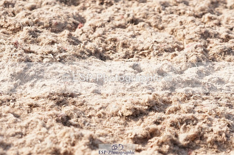 250621-180830-10403 - RoR Cls 6c-6b Novice