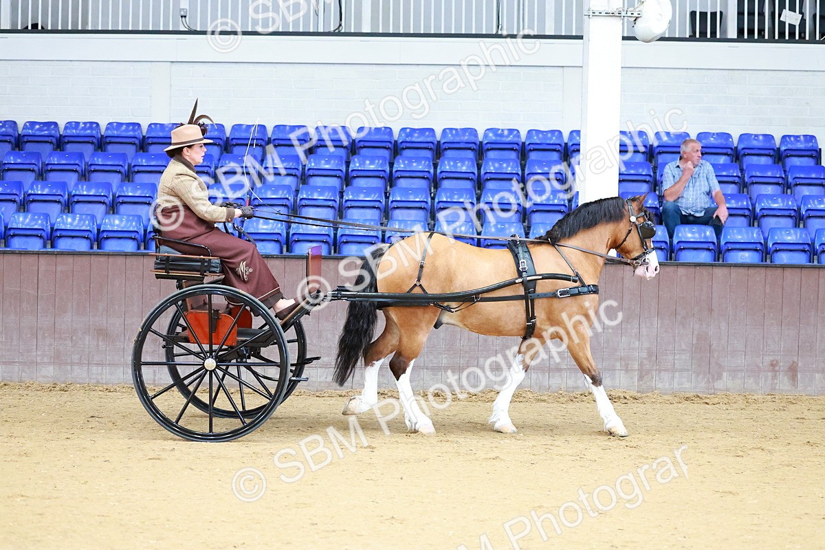 SBM_000087 - Class 3 - Alison Thomas Memorial Lady Whip