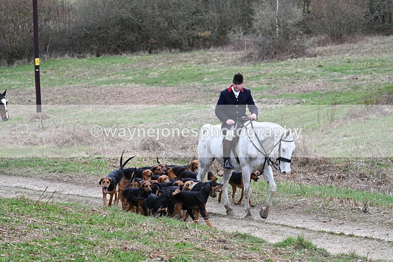 WJ7_7304 - Walk Home