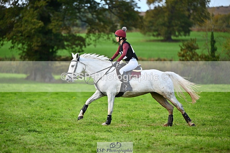 251025A-134957-20469 - F-479-Poppy.Wellman