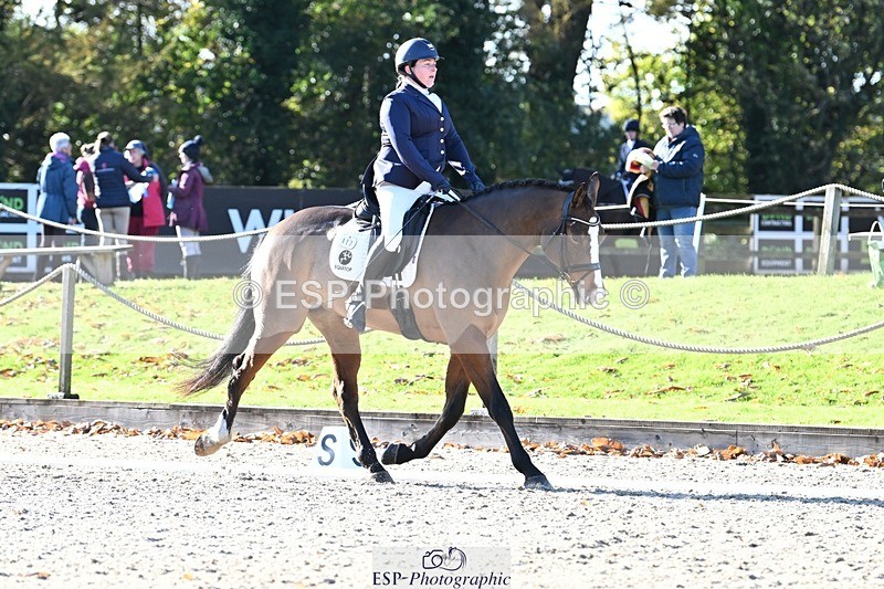 231110-120543-00576 - Cls 3 Novice 22