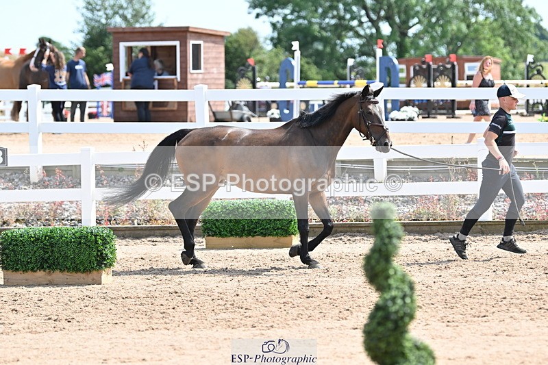 240717A-151124-02622 - Trot Up 3pm to 4pm